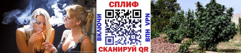 Наркотические вещества Лебедянь Лсд 25  ОМГ ОМГ сайт  Cocaine  БУТИРАТ  Гашиш  Канабис  Меф мяу мяу 
