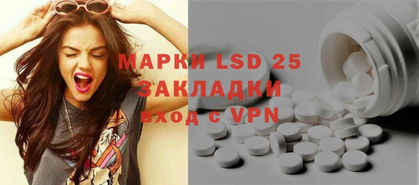 индика Инсар