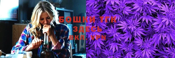 ALPHA PVP Каменка