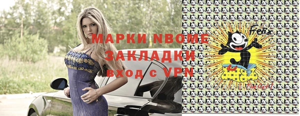 индика Инсар