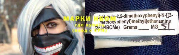 индика Инсар